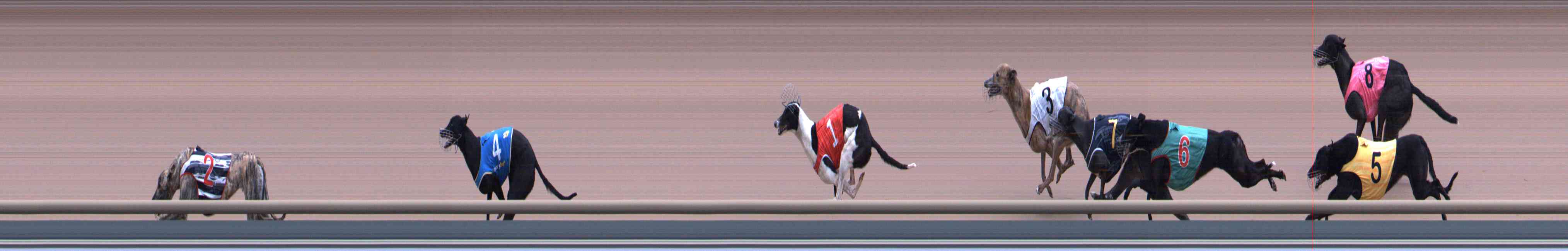 Race result finish photo